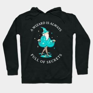 A Wizard is Always Full of Secrets Hoodie